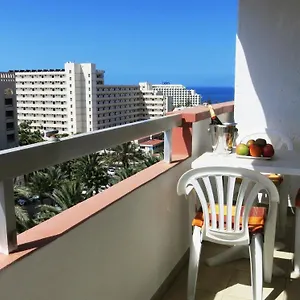 in-las-americas-with-amazing-view.in-canary-islands.com/